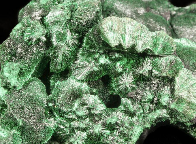Silky Fibrous Malachite Crystal Cluster - Congo #45339